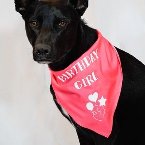 Birthday Girl Dog Bandana